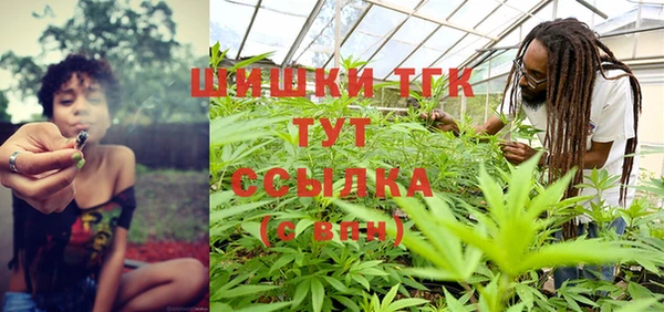 дмт Карпинск