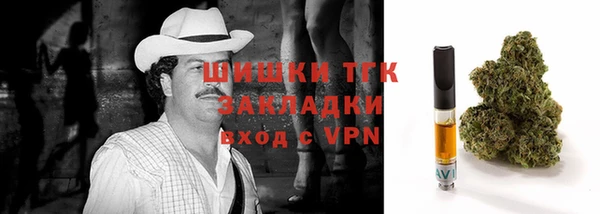 дмт Карпинск