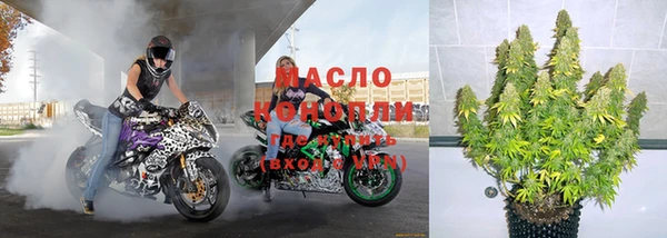 дмт Карпинск
